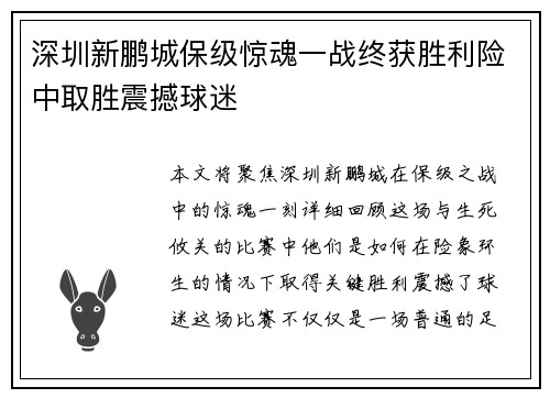 深圳新鹏城保级惊魂一战终获胜利险中取胜震撼球迷 深圳新鹏城保级惊魂一战终获胜利险中取胜震撼球迷